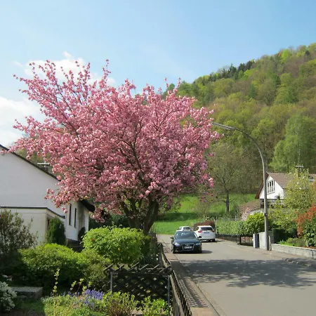 Apartment Ferienwohnung Haus Spessartblick